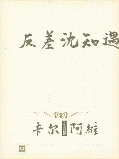 反差沈知遇晏应