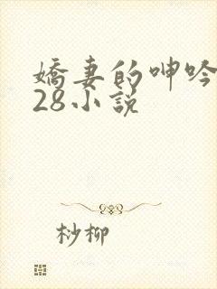娇妻的呻吟1—28小说