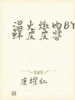 温火炖肉BY海鲜皮皮酱