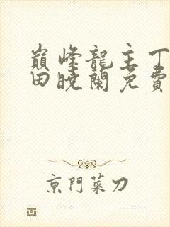 巅峰龙主丁长顺田晓兰免费阅读