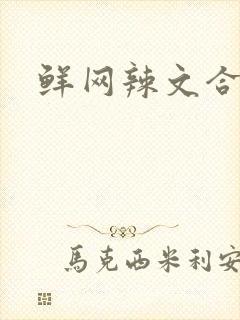 鲜网辣文合集