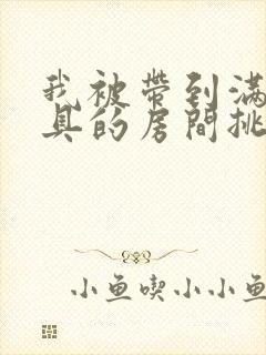 我被带到满是玩具的房间挑调作文