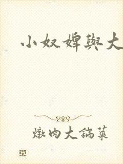 小奴婢与大少爷