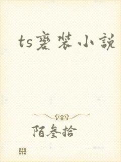 ts变装小说