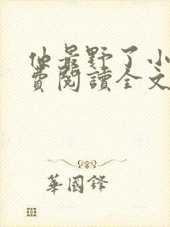 他最野了小说免费阅读全文