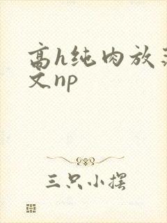 高h纯肉放荡h文np