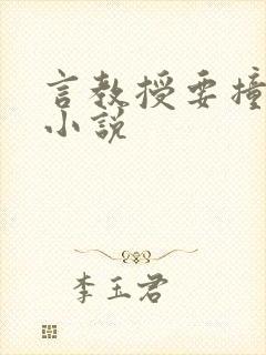 言教授要撞坏了小说