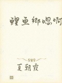 鲤鱼乡嗯啊