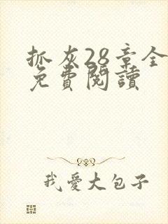 抓灰28章全部免费阅读