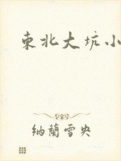 东北大坑小说