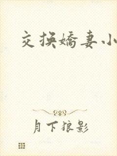 交换娇妻小说