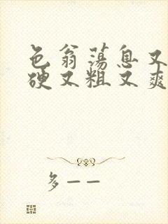 色翁荡息又大又硬又粗又爽小莹