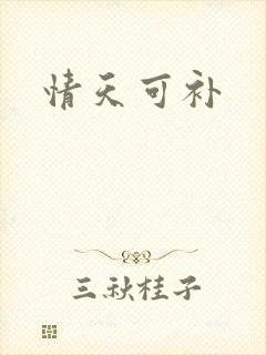 情天可补