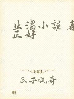 止渴小说 春光正好