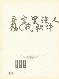 哥家里没人使点劲C我软件