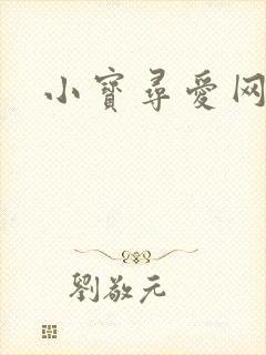 小宝寻爱网