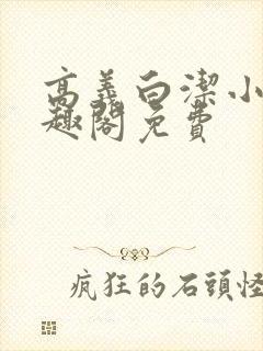 高义白洁小说笔趣阁免费