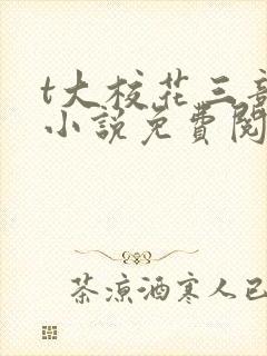 t大校花三部曲小说免费阅读全文