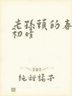 老孙头的春天林初晴