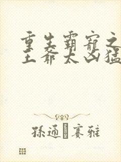 重生霸宠之摄政王爷太凶猛