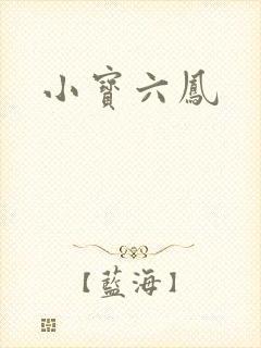 小宝六凤