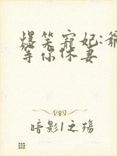 爆笑宠妃:爷我等你休妻