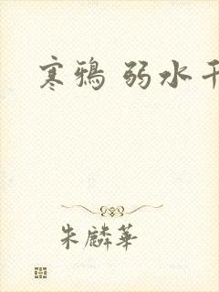 寒鸦 弱水千流