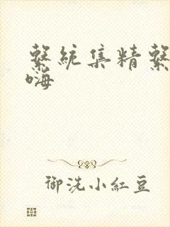 系统集精系统高嗨