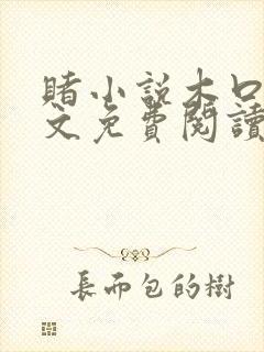 赌小说木口银全文免费阅读笔趣阁