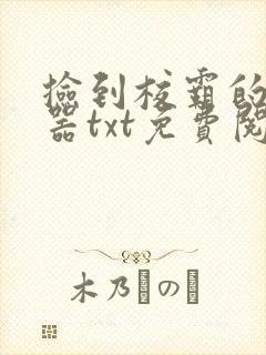 捡到校霸的遥控器txt免费阅读