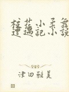 校花小柔舞蹈室遭遇记小说