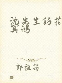 沈先生的花式调冥鸿