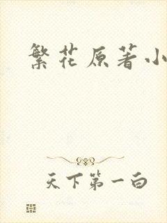 繁花原著小说