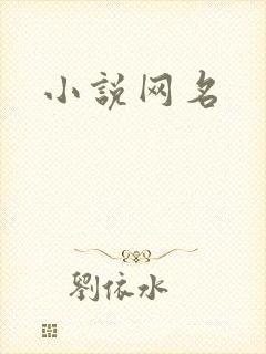 小说网名
