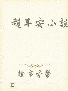 赵平安小说主角