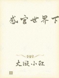 感官世界下载