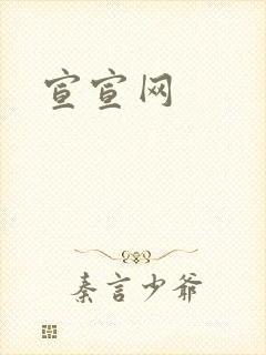 宣宣网