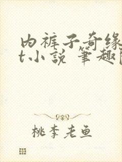 内裤子奇缘txt小说 笔趣阁