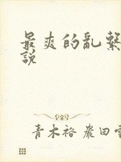 最爽的乱系列小说