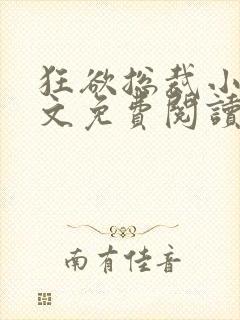 狂欲总裁小说全文免费阅读