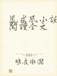 凤求凰小说免费阅读全文