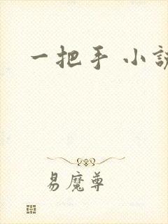 一把手 小说