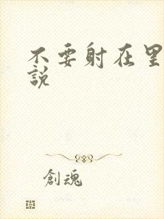 不要射在里面小说