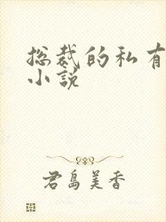 总裁的私有宝贝小说