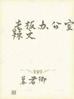 老板办公室系列辣文