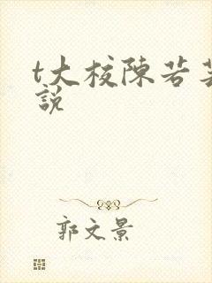 t大校陈若芸小说
