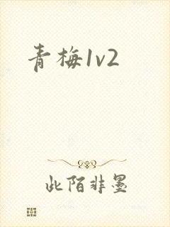 青梅1v2