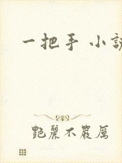 一把手 小说