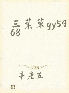 三叶草gy5968