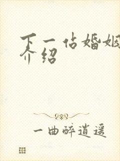 下一站婚姻剧情介绍